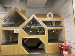 -Lilliput粒粒堡亲子餐厅(置汇旭辉店)
