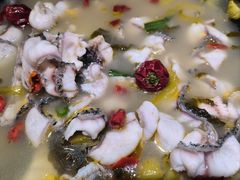 -周渝食惦酸菜鱼(青浦店)