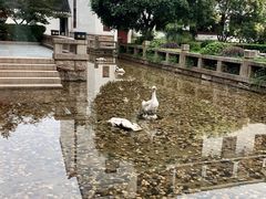 -苏州吴宫泛太平洋酒店