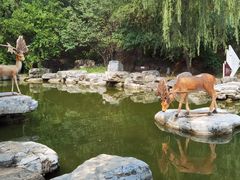 -周口店北京人遗址公园