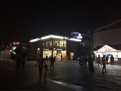 -苏州西交利物浦大学国际会议中心