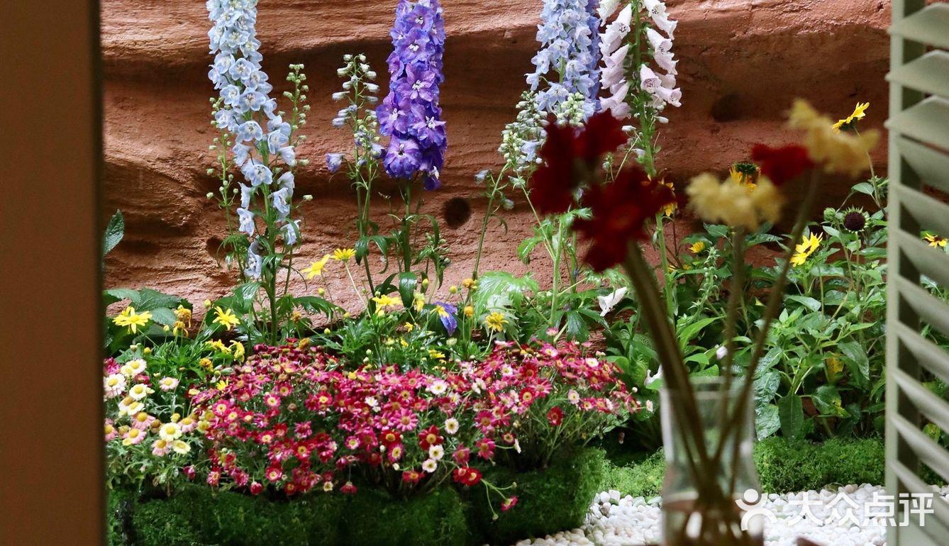 这‼️藏了一室“繁花”的春天💐