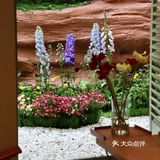 这‼️藏了一室“繁花”的春天💐