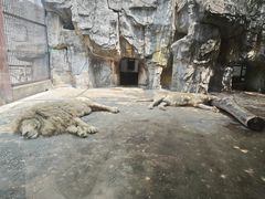 -南昌动物园