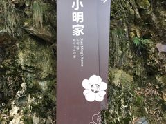 -大明山自然探索公园
