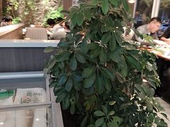 -纪林菜馆·博山菜老字号(华光路店)