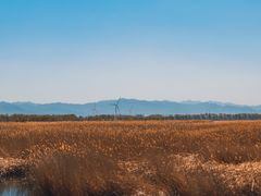 -野鸭湖国家湿地公园