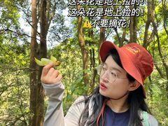 -天鹿湖森林公园