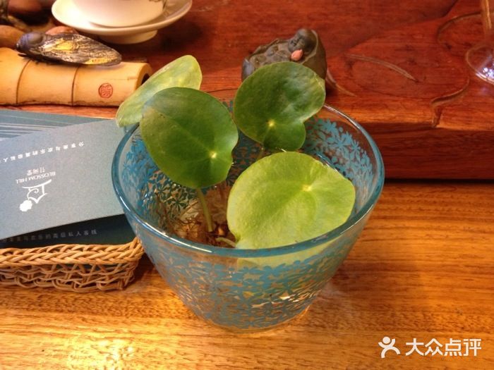 丽江花间堂·隐泉院iphone_upload_pic图片
