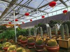 -河北村民俗体验园