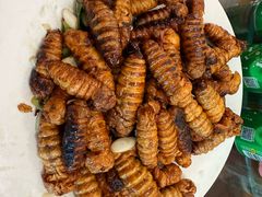 -华龙特色大骨鸡农家菜馆