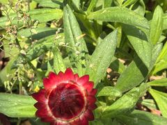 -上海交通大学(闵行校区)