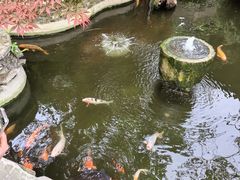 -闲亭(九眼桥店)