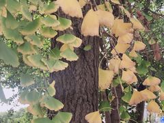 -剪刀石头布家居广场