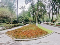 -温江公园