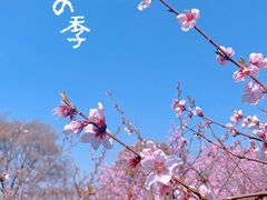 -三国水浒景区(无锡影视基地)