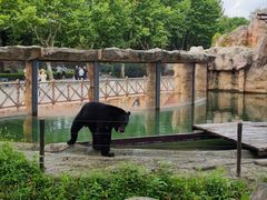 -上海野生动物园