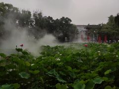 -四川大学(望江校区)