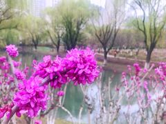 -白塘生态植物园