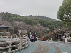 -白马涧龙池景区