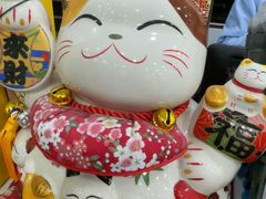-四月宠物医院·猫专科·心脏专科·内科(转塘店)