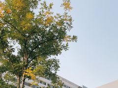 -首都医科大学附属北京天坛医院
