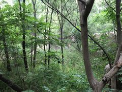 景点-碓臼峪自然风景区