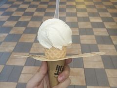 -野人先生现做冰淇淋(西安赛格店)