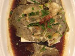 清蒸多宝鱼-大东方海鲜酒楼(小武基桥店)