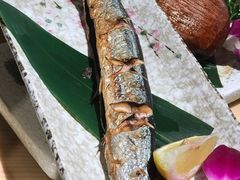 -酒井酱子·深夜食堂(东城汇店)
