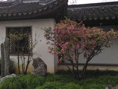 -五峰园