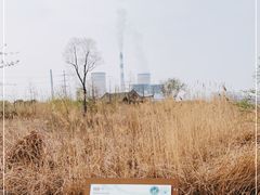 -九里湖国家湿地公园