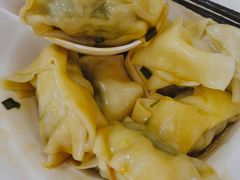 野菜鲜肉大馄饨-真真鲜馄饨店(启蒙路店)