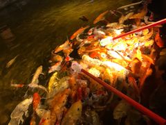 -威海华夏城景区