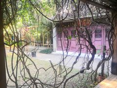 -深圳国际园林花卉博览园