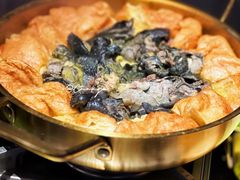 -Darling Queen·Mini·Live·House