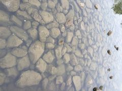 iphone_upload_pic-南翔镇银翔湖公园