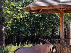 -大连森林动物园