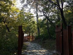 -阳台山自然风景区