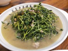 炒豆苗-长平老姿娘夜粥(平东一街店)