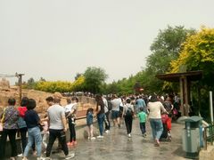 -石家庄市动物园