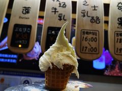 -野人先生现做冰淇淋(北京环宇荟店)