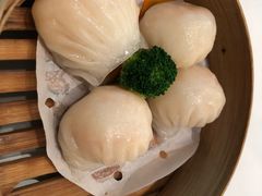 -御花园酒店(希尔顿店)