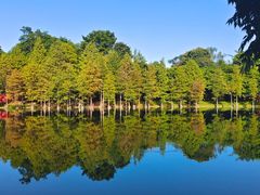 -华南国家植物园-售票处