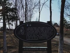 -大兴滨河森林公园