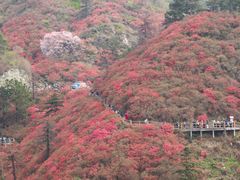 -木兰云雾山