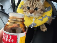 -联合动物医院(光谷诊疗中心)