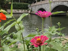 -绍兴鉴湖君澜大酒店