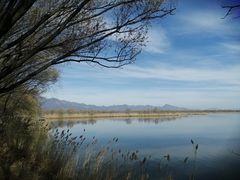 -野鸭湖国家湿地公园