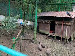 -藏龙百瀑风景区